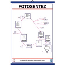 Edulab FOTOSENTEZ LEVHASI
