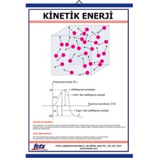 Edulab KİNETİK TEORİ LEVHASI (70X100 CM)