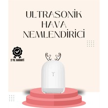 Rory USB Şarjlı Mini USB Nemlendirici LED Işıklı Masaüstü Cihaz