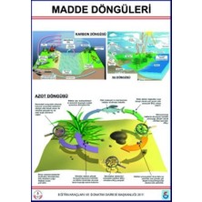 Edulab MADDE DÖNGÜLERİ LEV.(KARBON, AZOT VE SU DÖNGÜLERİ-70X100 CM)