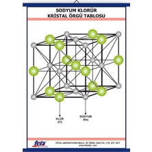 Edulab SODYUM KLORÜR KRİSTAL ÖRGÜ TABLOSU