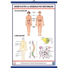 Edulab DENETLEYİCİ VE DÜZENLEYİCİ SİSTEMLER