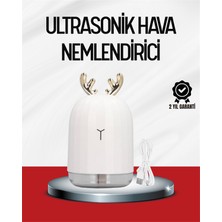 Rory El Tipi USB Mini Soğuk Mist Nemlendirici 220 ml Tank