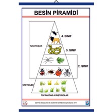 Edulab BESİN PRAMİDİ