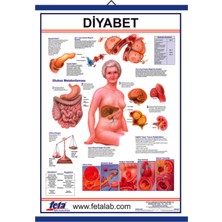 Edulab DİYABET LEVHASI