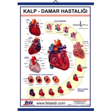 Edulab KALP VE DAMAR HASTALIKLARI LEVHASI