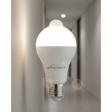 Calperia Sensörlü Lamba - Lisinya