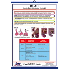 Edulab Koah Eğitim Plakası