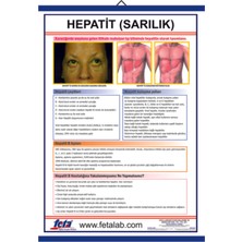 Edulab Hepatit Eğitim Plakası
