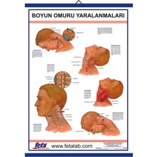 Edulab Baş Ve Boyun Yaralanmaları Eğitim Plakası