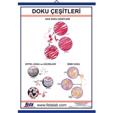 Edulab Doku Levhası 70X100 EBATLARINDA