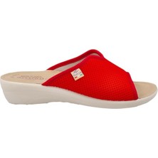 Fly Flot Cloth Kadın Terlik T4-429