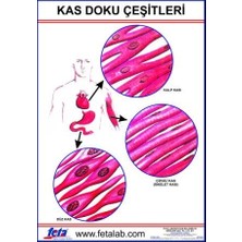 Edulab Kas Doku Eğitim Plakası