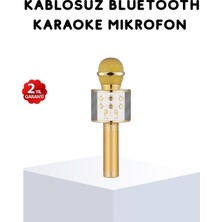Rory Karaoke Mikrofonu Bluetooth USB Aux Girişli Yankı Efektli