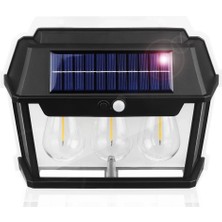 Flamex Solar Bahçe Aydınlatması 3'lü