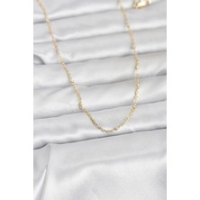 Skygo cm 14K Gold Renk Burgu Model 60 cm Kadın Kolye