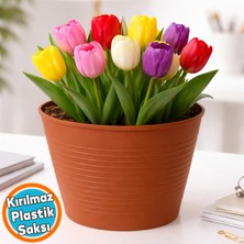 Nzb Kahverengi Renk Kırılmaz Esnek Plastik Balkon Saksısı 12 cm Orkide Genel Kullanım Saksı (1 Adet)