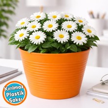 Nzb Turuncu Renk Kırılmaz Esnek Plastik Balkon Saksısı 12 cm Orkide Bitki Genel Kullanım Saksı (1 Adet)