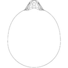 Sealux Ocean Usturmaça, Balon, R1, 28X38CM, Kırmızı/mavi