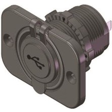 Aes USB Soketi 12-24 V