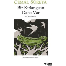 Datatek Bir Kırlangıcın Daha Var