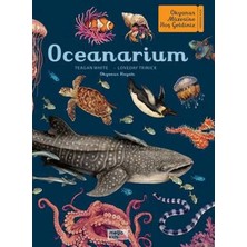 Datatek Oceanarium