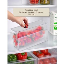 Okyanus Home 3 Adet Kapaklı Mini Buzdolabı Organizeri ve Saklama Kabı 2750ML