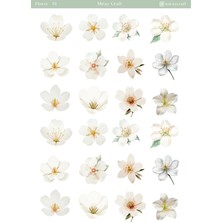 Miray Craft 1 Adet Çiçek Temalı – Journal & Scrapbook Sticker Sayfası(12×17 Cm)