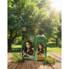 Kına Bella Amla Oil (Çam Terebenti)