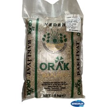 Yeşil Mercimek 5 kg (Yeni Mahsül)