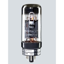 Artec 6000188 6l6 Lambalı Amfi Lambası | Yüksek Çıkış Gücü Sıcak Analog Ton Klasik Rock Karakteri