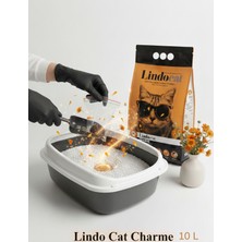 Lindocat Charme Aynısefalı ve Amber Kokulu Hassas Derili Kediler Için Kedi Kumu 10 lt