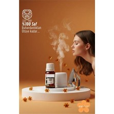 SHC4200 Saf Amber Çiçeği Esansı - Ütü Buhardanlık ve Koku Makineleri Için 10 ml