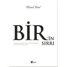 Renklime Bir'in Sırrı (Ciltli)