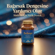 NovaVital Lactocaps 60 Kapsül Sindirim Sistemi Destekleyici Takviye Edici Gıda