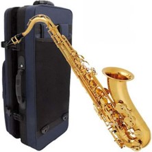 Buffet Crampon BC8101-1-0 100 Seri Alto Saksafon | Fransız Mühendisliği ile Mükemmel Entonasyon Başlangıç ve Orta Seviye Için Ideal Tuşe Yapısı