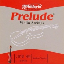 Daddario J813 Keman Tek Tel | Prelude (Re-D), 4/4 Medium
