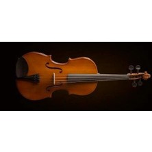 Valencia VA16038 Viyola 15 Inç (Öğrenci Seti) | 38 cm - Orta Boy - Yay ve Kutu Dahil