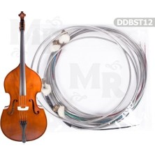 Manuel Raymond DDBST12 Kontrbas Tel Takımı (1/2) | Öğrenci Kontrbasları Için Yumuşak Çalım