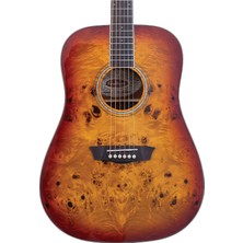 Washburn Dfbda Deep Forest Burl Amber Fade Akustik | Amber Geçişli Renk Egzotik Ağaç Dokusu