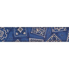Planet Waves 50G03 Gitar Askısı Mavi Bandana (5 Cm) | Paisley Desen - Klasik Rock - Şık