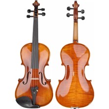 Picaldi VH30H 4/4 Advanced Profesyonel Keman | Profesyonel Sanatçılar Için Özenle Kurutulmuş Ahşap ve Kusursuz Ses Yayılımı