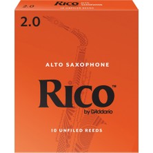 D'addario RJA1020 Rico Orange Box Alto Saksafon Kamışı No: 2.0 (Başlangıç/eğitim) - 10'lu Paket | Klasik Turuncu Kutu, Caz ve Eğitim Için Ideal Standart
