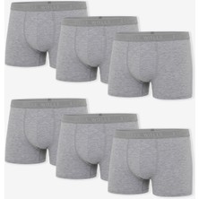 Steve Wolls Erkek Gri 6’lı Likralı Boxer - 24102