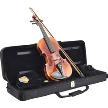 Dominguez DVPG44-P1 Profesyonel Keman (4/4) | El Yapımı Hareli Akçaağaç Konser Sınıfı