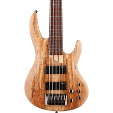 Esp Ltd LB205SMNS B-205 5 Telli Bas Gitar | Geniş Ton Aralığı Aktif Ekolayzer
