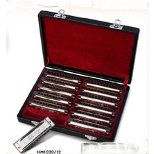 Valencia HM1020-12 Mızıka Seti (12'li) | Farklı Tonlar - Okullar Için Toplu Set - Kutulu