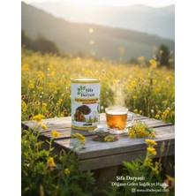 Hayıt Tohumu-Civanpercemi