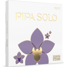 Thomastik PS100 Pipa Solo 4/4 Folk Takım Keman Teli | Parlak ve Net Tını, El Cilası Işçiliği, Hassas Akort Kararlılığı