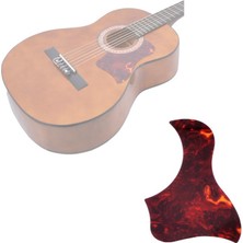 Extreme PG165DR Koyu Kırmızı Pickguard | Tortoise Shell Görünüm Şık Detay